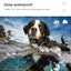 Electric Dog Training Collar Rechargeable Anti Barking Shock Vibration Collar Waterproof Trainer for All Dogs Pet with Clicker