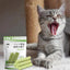 Cat Grass Stick Cat Grass Chewing Stick Natural Teeth Cleaner Removal Row Kitten Pet Snacks Teeth Caring for Kitten Mouth Health