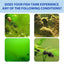 Algae Remover for Fish Tank 100g Aquarium Algae Control Pond Algaecide Aquarium Green Water Cleaner Gentle Fountain Algaecide