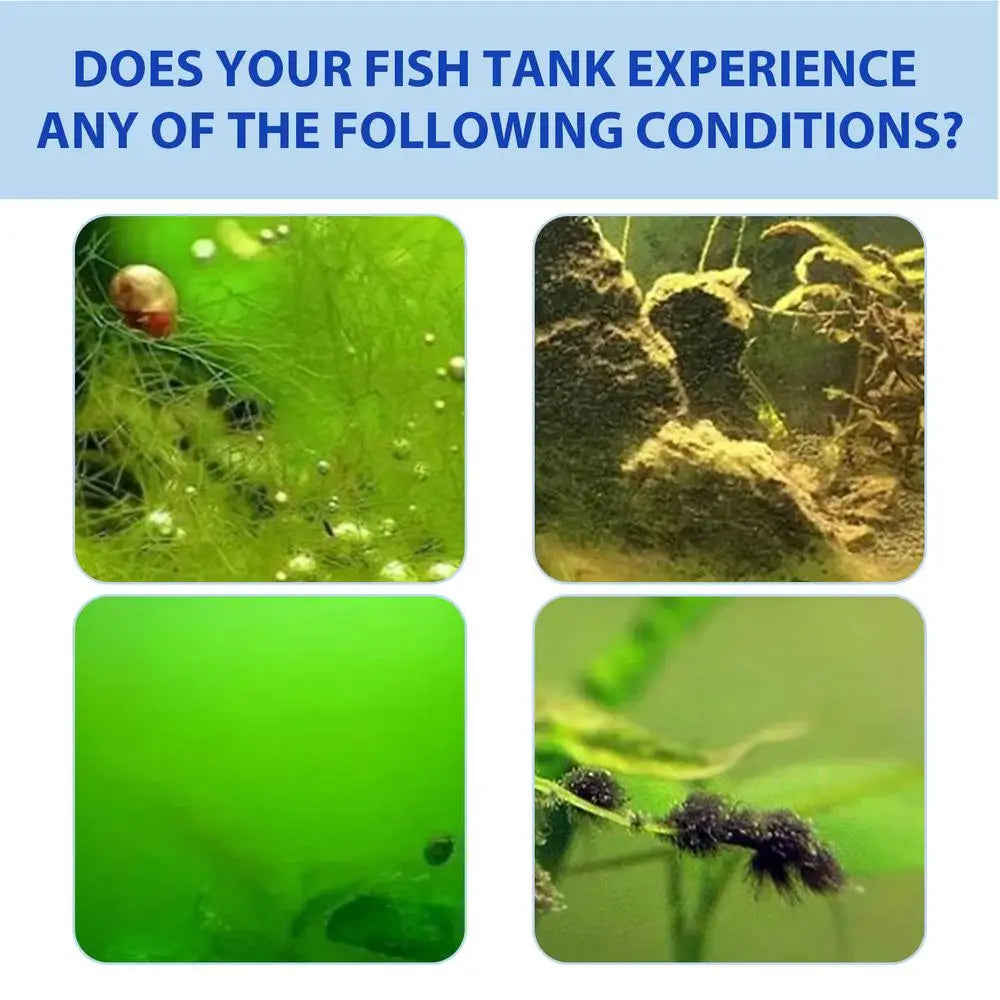Algae Remover for Fish Tank 100g Aquarium Algae Control Pond Algaecide Aquarium Green Water Cleaner Gentle Fountain Algaecide