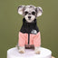 Winter Dog Clothes Dog Down Jacket Waterproof Cat Costume Pet Dog Coat Chihuahua French Bulldog Bichon Large Dog Warm Clothes
