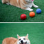 Dog Toy Rubber Ball Bite-resistant Ball Toy for Dogs Puppy Teddy Pitbull Red Color Solid Ball S-XL Pet Supplies
