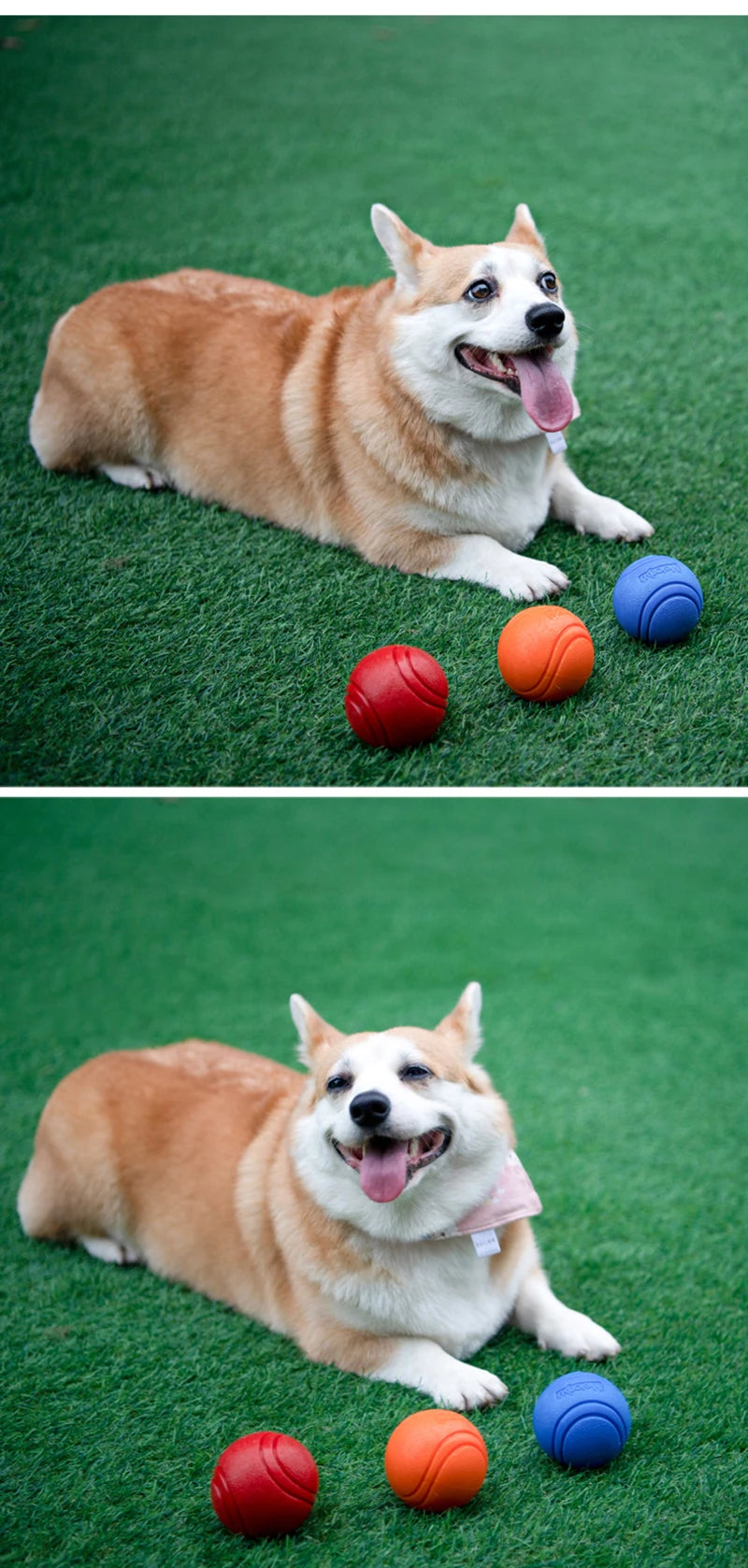 Dog Toy Rubber Ball Bite-resistant Ball Toy for Dogs Puppy Teddy Pitbull Red Color Solid Ball S-XL Pet Supplies