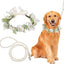 Elegant Dog Wedding Flower Collar and Leash Set for Medium Dogs,Dog Wedding Attire Wreath Bow Pearl Leash Pet Wedding Photo Prop