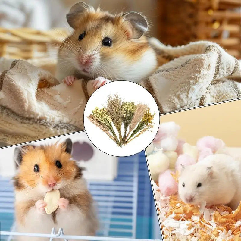 Flower And Plant Bedding Natural Hamster Bedding Hamster Deodorizing Bedding Small Animal Deodorant Product Landscaping Supplies