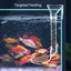 Highly Transparent Acrylic Aquarium Feeder Tube Dish Transparent Fish Tank Shrimp Snail Shrimp Food Feeding Bowl Accessories