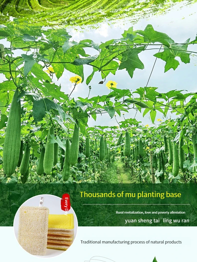 Natural Loofah Sponge Kitchen Sponge Wash Dish Eco-Friendly  Shower Luffa Body Scrubbers Loofa Biodegradable Sponge