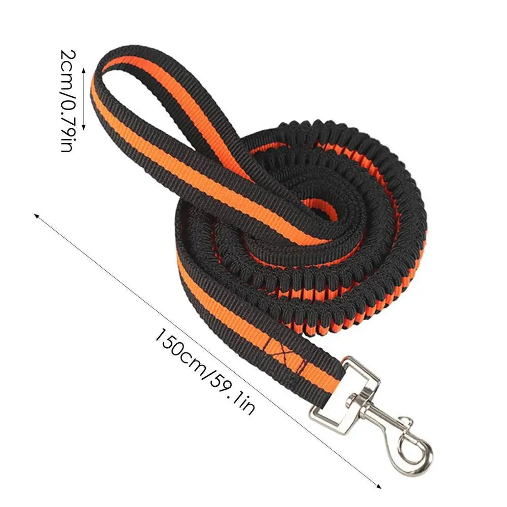 Dog Heavy Duty Durable Telescopic Nylon Dog Rope Comfortable Padded Handle Rope High-elastic Dog Safety Belt For Car