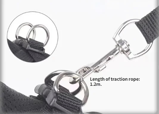 Dog Leash Vest Type Small Dog Walking Dog Leash out Chest Strap Imitation Earning Bracket Set