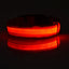 Nylon LED Night Safety Flashing Glow In The Dark Dog Leash Dogs Luminous Fluorescent Pet Dog Collar