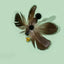 Interactive Cat Feather Toy Accessories False Toy with Bell Replacement Refill Training Kitten Toys