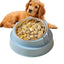 Cat Bowl Non-Slip Pet Stainless Steel Food Bowls Ergonomic Design Cat Dog Food Bowl with 15 Degree Oblique Mouth Puppy Feeding