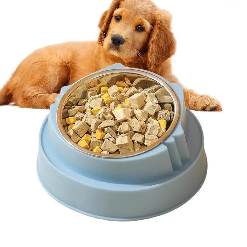 Cat Bowl Non-Slip Pet Stainless Steel Food Bowls Ergonomic Design Cat Dog Food Bowl with 15 Degree Oblique Mouth Puppy Feeding