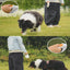 Automatic Retractable Pet Rope Pet Walking Lead Strap Dog Walking Strap Pet Telescopic Traction Strap Pet Dog Cat Puppy Traction