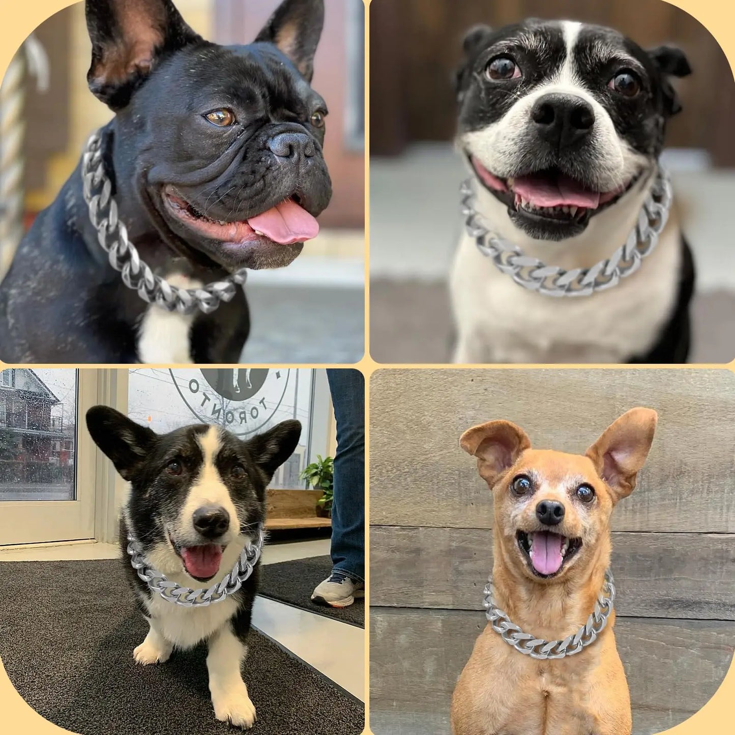 19MM Chew Proof Gold Dog Chain Collar Stainless Steel  Collars with Solid Buckle Pet Chains for Large Dogs
