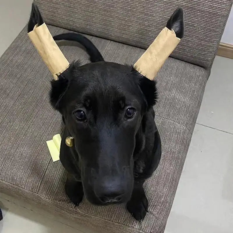 Dog Ear Posting Kit Fixed Ear Stand Up Tool For Dogs Pet Dog Ear Fixed Support Up Correction Vertical Stand For Doberman Dog