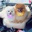 Adjustable Pet Dog Cat Saliva Towel Lace Decorative Bibs Scarf Bandana Collar Dog Accessories Small Dogs Bibs Cute Accessories
