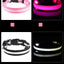 Nylon LED Night Safety Flashing Glow In The Dark Dog Leash Dogs Luminous Fluorescent Pet Dog Collar