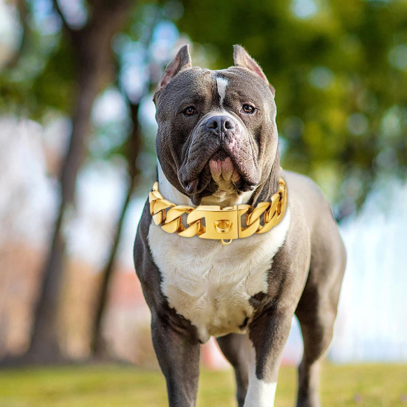 Strong Metal Dog Chain Collars, Stainless Steel Pet Training Choke Collar for Large Dogs, Pitbull, Bulldog, Silver, Gold, Show C