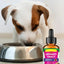 Powerful Cat Bladder Drops 60ml For Urinary Tract Care Powerful Bladder Stone Remover Promote Kidney Health Pet Health Care