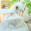 Sweet Princess Female Puppy Summer Clothes Wedding Party Dress for Dogs White Lace French Bulldog Small Medium Pet Cat Clothing