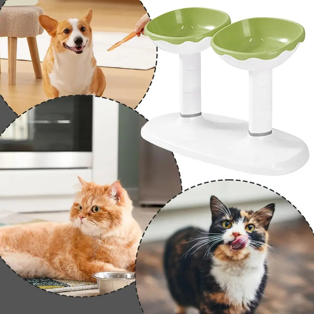 Cat Dishes For Food And Water Height Adjustable Pets Water And Food Bowl Set Large Capacity Cat Food Feeder And Waterer Set For