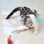 Interactive Cat Toys Funny Feather Teaser Stick with Bell Pets Collar Kitten Playing Teaser Wand Training Toys for Cats Supplies