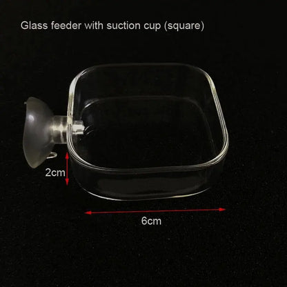 Acrylic Aquarium Feeder Tube Dish Transparent Fish Tank Shrimp Snail Shrimp Food Feeder Bowl Aquarium Feeding Set Accessories