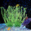 UXCELL Artificial Aquarium Plants Aquarium Simulation Water Weeds Ornament Fish Tank Grass Decor Sets Decoration Accessories