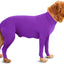 Four Feet Lightweight Pajamas Pure Dog Jumpsuits Tight Dog Coat Nursing Clothes Bodysuit For Small Medium Large Dogs Pet Costume