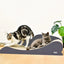 Large Size Cat Couch Bed Furniture Ultimate Cardboard Scratching Lounge durable Cat Scratcher