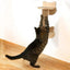 Wall Mounted Cat Shelves Scratching Post for Cat Jumping Platform and Cat Hammock Rope Ladder Wall Wooden Furniture