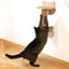 Wall Mounted Cat Shelves Scratching Post for Cat Jumping Platform and Cat Hammock Rope Ladder Wall Wooden Furniture