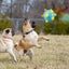 Interactive Dog Toy Ball LED Flash Music Dog Toy Ball Pet Bouncing Balls Interactive Jumping Toys For Dogs Playing Running