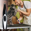 Pet Hair Clipper Cordless Trimmer for Cat Hair USB Rechargeable Dog Kitten Hair Clipper Portable Electric Pet Grooming Tools
