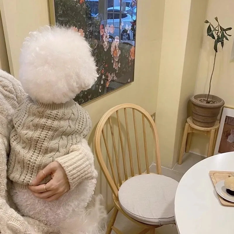 Winter Dog Sweater Pet Dog Clothes for Small Dogs Solid Letter Knitted Coat Puppy Costume Chihuahua French Bulldog Cat Sweaters
