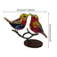 Zibi Animal Bird Ornaments Home Decoration Flowers and Birds Pendant Asia Keli Home Furnishin