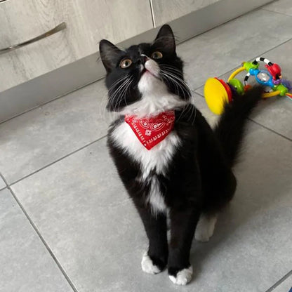 Small Dog Cat Bandana Collar Adjustable Puppy Dog Kitten Neckerchief PU Collar with Printed Triangular Scarf Pet Collar for Cat