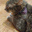 Small Dog Cat Bandana Collar Adjustable Puppy Dog Kitten Neckerchief PU Collar with Printed Triangular Scarf Pet Collar for Cat
