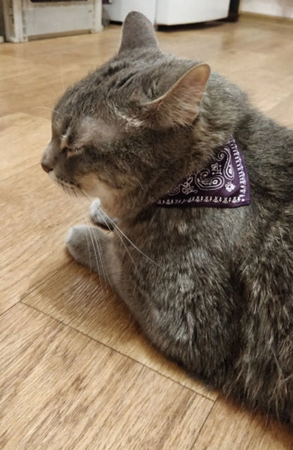 Small Dog Cat Bandana Collar Adjustable Puppy Dog Kitten Neckerchief PU Collar with Printed Triangular Scarf Pet Collar for Cat
