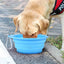 Pet Dog Collapsible Bowl Folding 350ml Silicone Bowl Outdoor Travel Portable Puppy Food Container Feeder Dish Bowl Pet dog bowls
