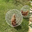 Chicken Safety Ball Cage Spherical 3 Pieces Chicken Cage Pet Safety Cage Ball-Shaped Chicken Hamster Ball Cage Safe Walking Net