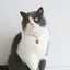 Luxury Dog Cat Necklace Jewelry with Heart Diamond Pendant Design Gold Chain Collar Pet Wedding Birthday Costume Accessories