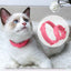 Pet Dog Cat Collar Anti Flea Mite Lice Insecticide Mosquito Outdoor Adjustable Pet Collar Cat Accessories Long-term Protection