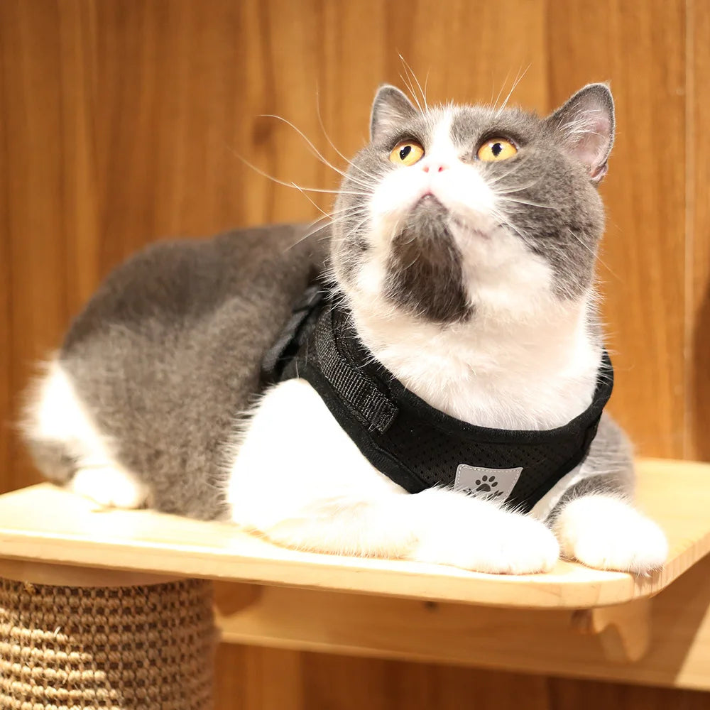 Breathable Cat Harness with Leash Anti-Escape Cat Vest Harness Collar for Kitten Pet Accessories Adjustable Puppy Harness Leads