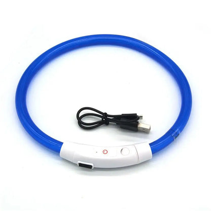 50cm LED Luminous Dog Collar Waterproof And Dustproof Visual Night Dog Walking To Prevent Lost Creative Color Dog Sub-sign Light