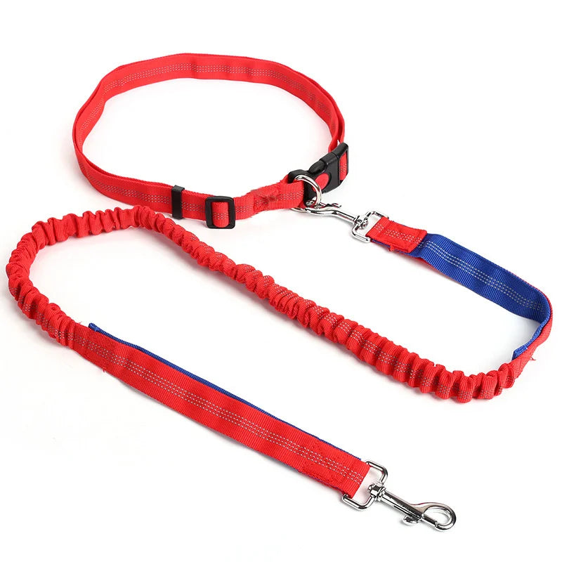 Dog Leash Supplies Free Hands Classic Harness Collar Big Pet Accessories Small Set Dogs Large Suit