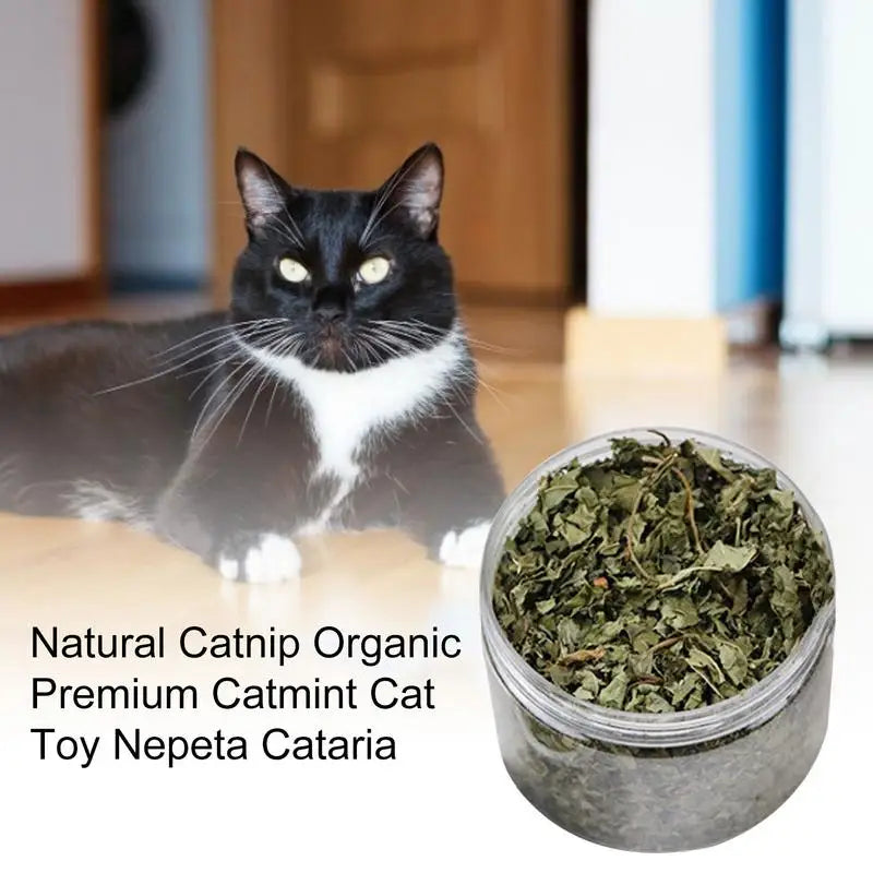 Catnip Organic 100 Natural Premium Cattle Grass Non-toxic Interactive Funny Cat Toy Healthy Safe Catnip Pet Toys Nepeta Cataria