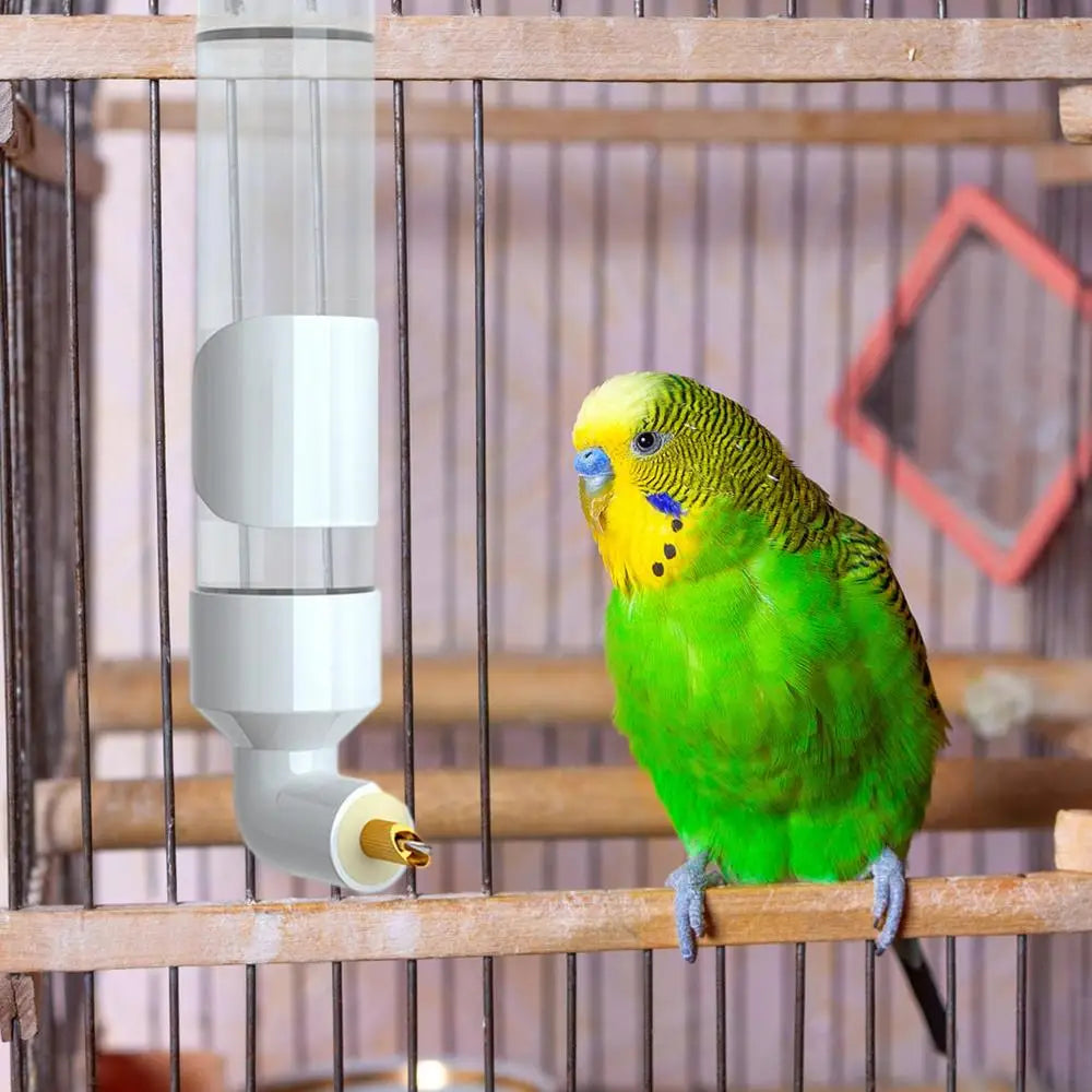 Birds Water Feeder Automatic Bird Cage Suspended Waterer Parakeet Water Dispenser Budgie Drink Acrylic Drinker Bottle For Canary