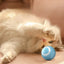 Cat Interactive Ball Training Self-moving Kitten Electric Cat Ball Tovs Elect ronic Automatic Rolling Magic Ball Toys for Cat
